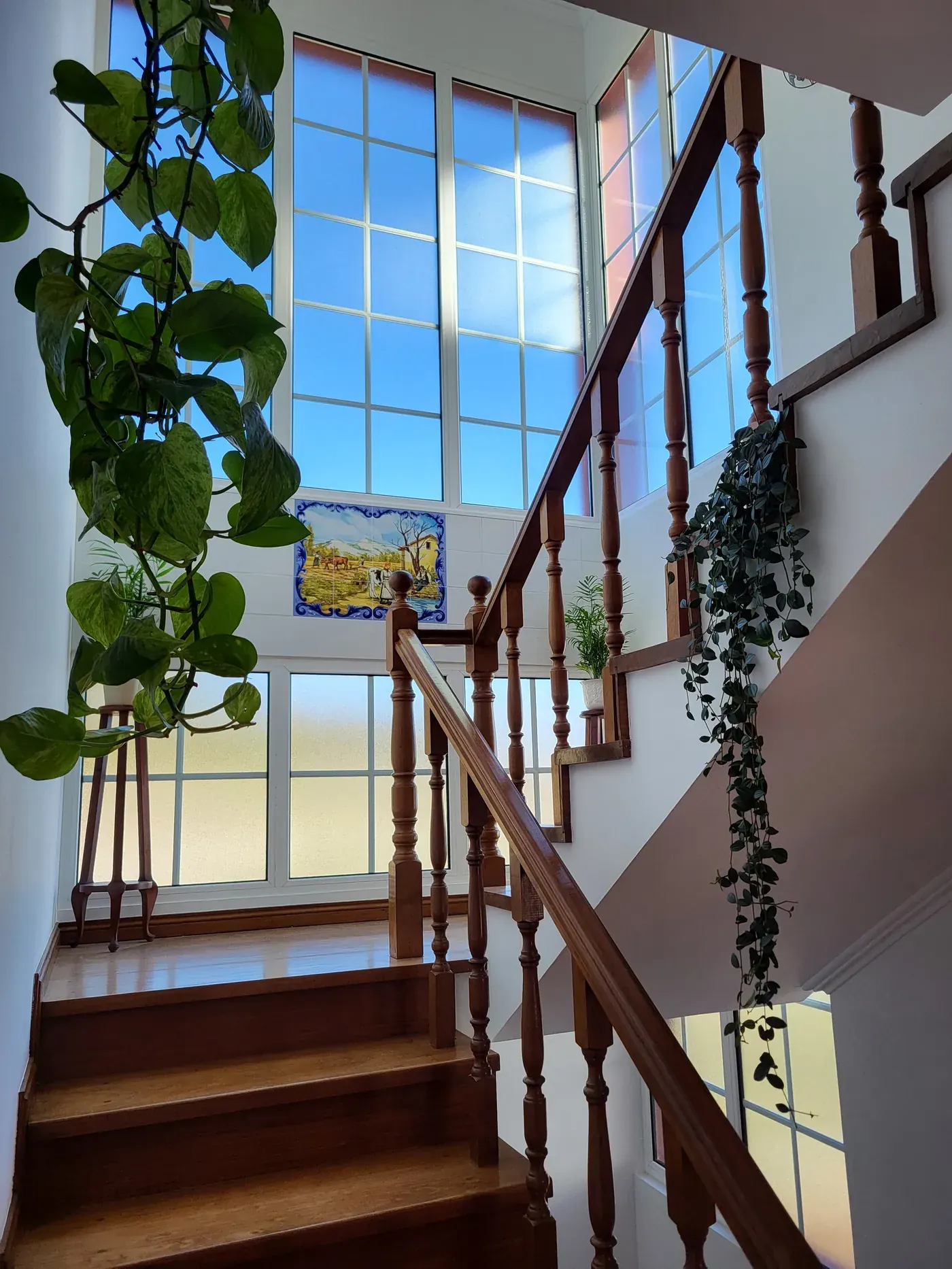 Villa de Sol Madeira – Ismerje meg az igazi Madeirát
